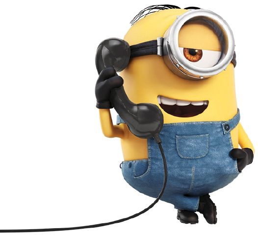 Sol_Minions tweet media