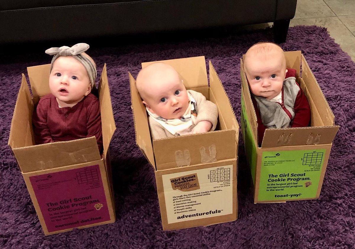 GSGI's tweet image. Babies in Girl Scout Cookie boxes. That’s it, that’s the tweet. #Infantsatworkprogram