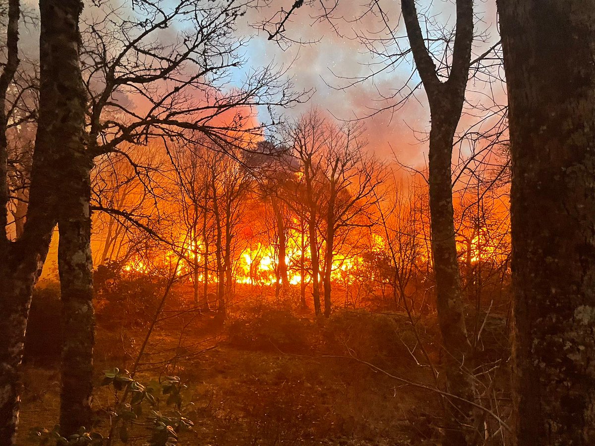 wingnut415's tweet photo. A busy spell in the Highlands with wildfires across the area. The commitment made by our on call crews to deal with these challenging incidents in rural locations cannot be understated. Could you support your community by being an on call firefighter? https://t.co/yKnYuabKsg https://t.co/erie3kxxkX