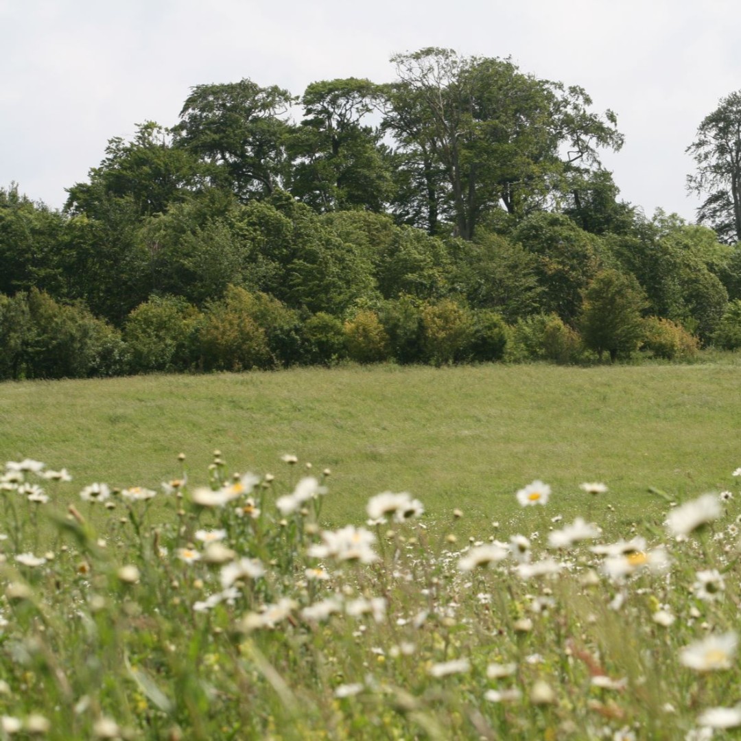 One major drawback of the warmer weather is the #tickseason is upon us. Ticks can bite people and pets and can cause #Lyme disease. They’re found all over the UK but high-risk places include grassy and wooded areas. 

For more information visit: nhs.uk/conditions/lym…