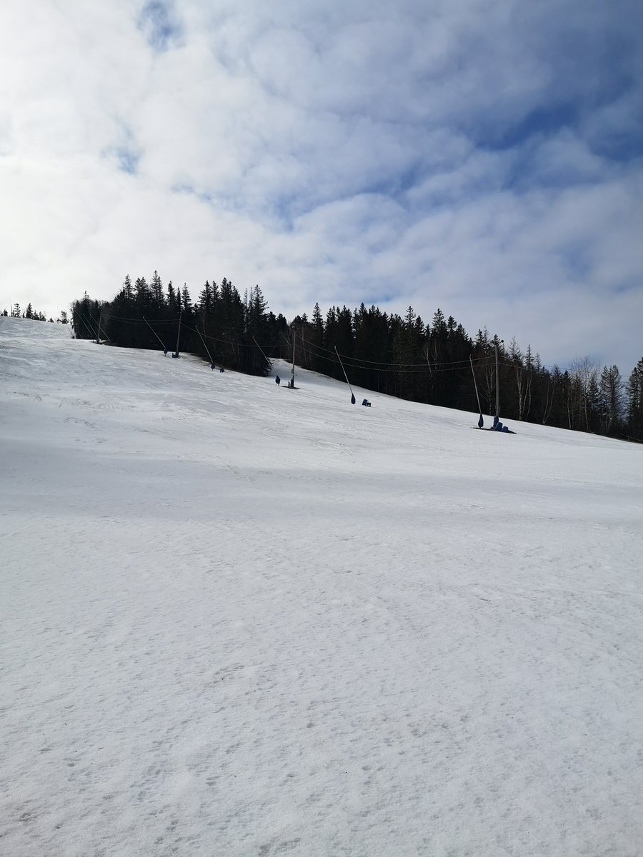 Poley Mountain Resorts tweet media