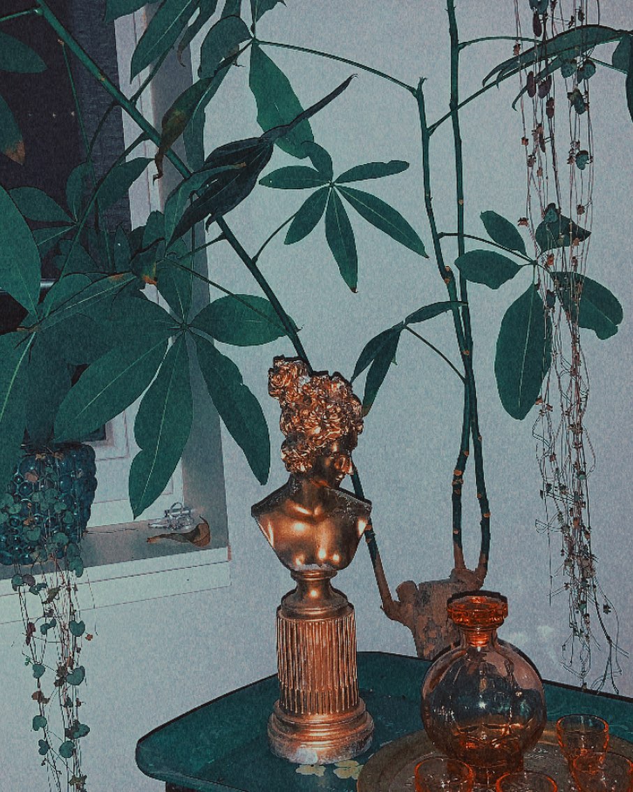 AURORAmusic's tweet photo. Artemis 🥀🍃🌿🌾🌱 https://t.co/qC2Y4njSzq