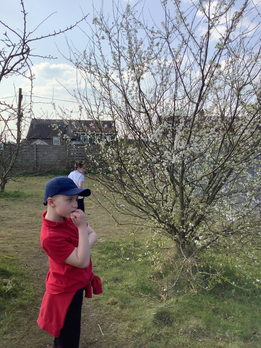 UpperEPHPS's tweet photo. We are enjoying exploring outdoors looking for signs of spring 🌷 https://t.co/TPOtfVZg2N