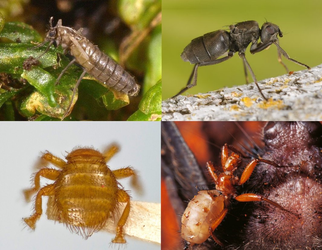 DarrenWilliamsLab tweet media