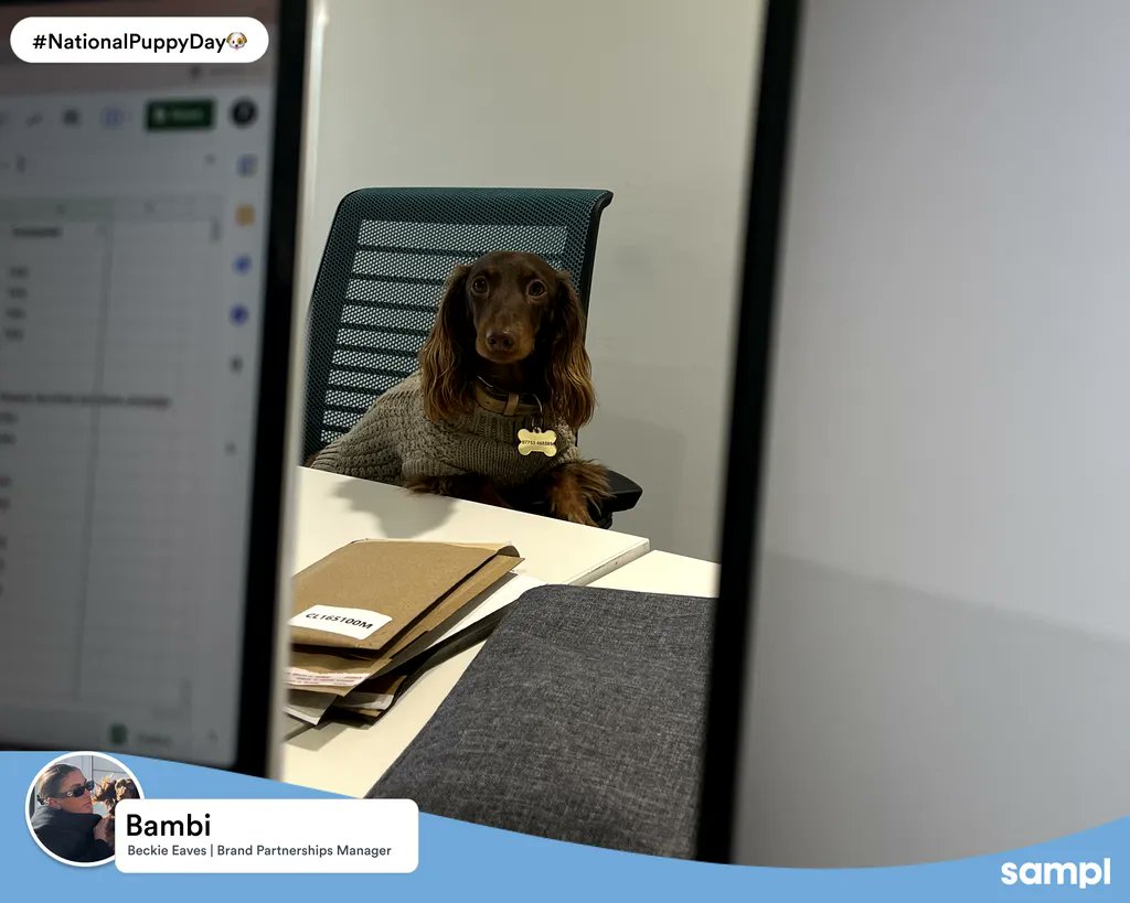 sampltech's tweet photo. Pics of pups to perk you up! To commemorate #NationalPuppyDay, we wanted to show off some of our company's furriest friends. Try not to die of cuteness as you swipe through! 🐶 https://t.co/H4L4heXGhm