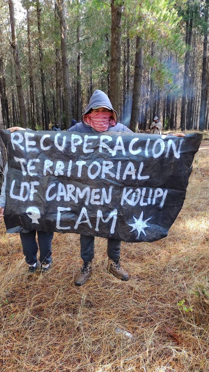 Recuperacion Territorial Lof Carmen Kolipi CAM