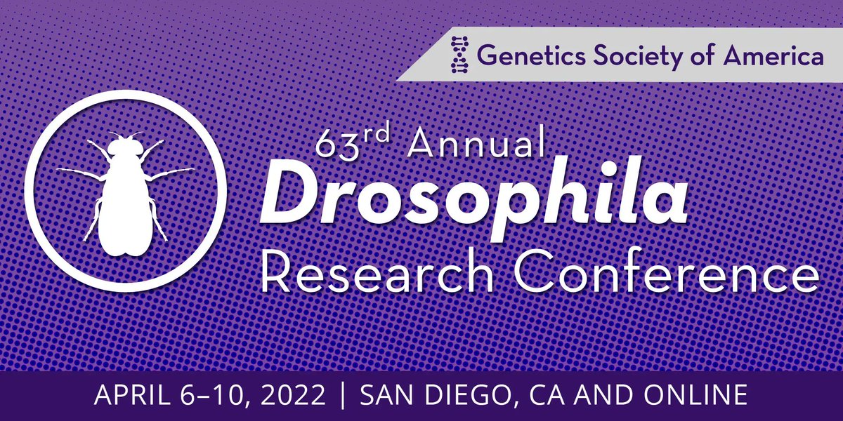 GeneticsGSA's tweet photo. Seeking a career in academia? Register for #Dros22 Careers in Academia on Monday, April 4 from 1 p.m.–2:30 p.m. PST to hear about hiring in academia from both sides of the process, as well as gain insight into an academic career. https://t.co/7Bz1HH76XE https://t.co/L98wwOFug9