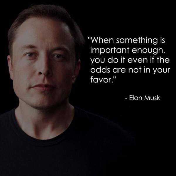 Elon musk quote