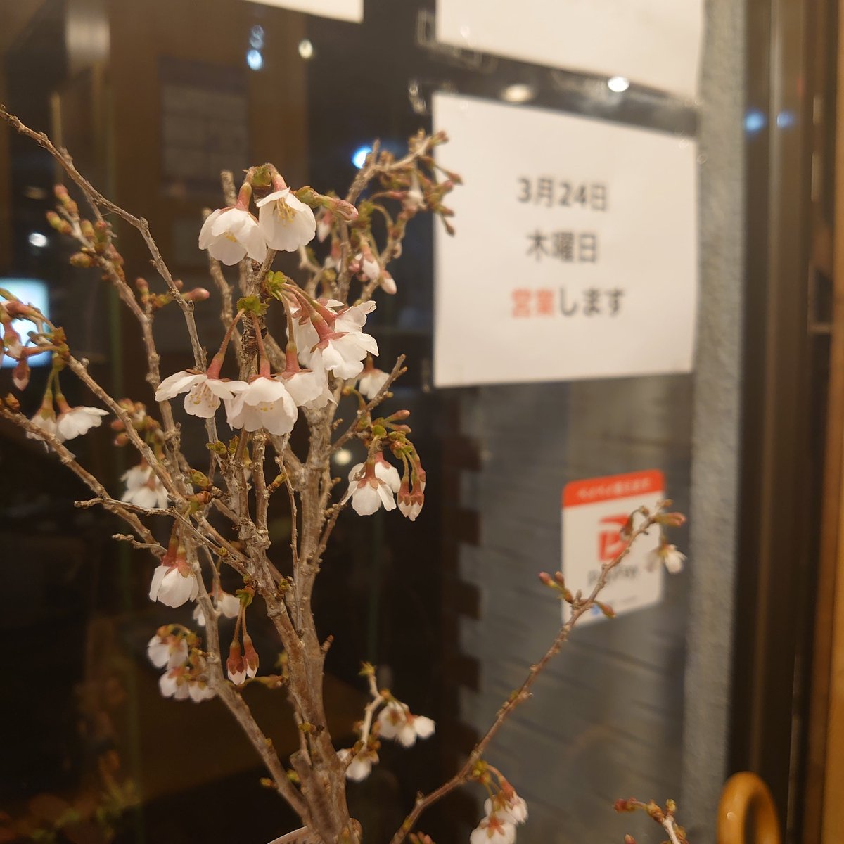 cafecollection1's tweet photo. 3月24日(木)11:00~22:00営業します。
#カフェコレクション
#cafecollection
#京大卒業式
#カフェ
#百万遍
#京大農学部前 https://t.co/TvMe955ztf