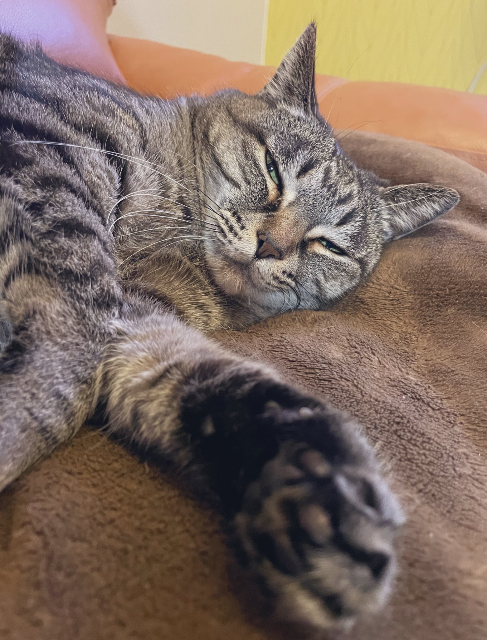 岡根 安里(あんちゃん) on Twitter 