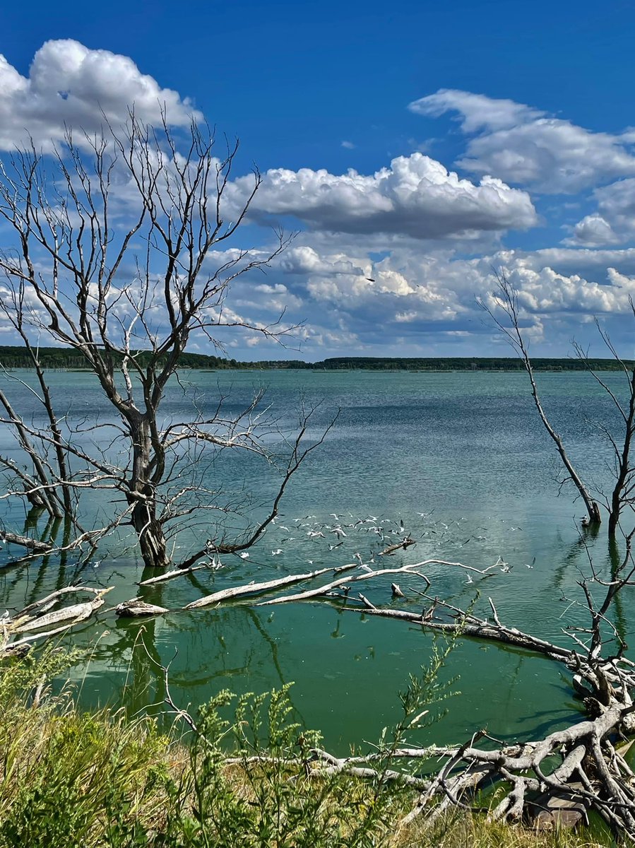 Сусканский залив. Самарская область, Ставропольский район.. Завараживающее место, красота и какой-то страх одновременно )