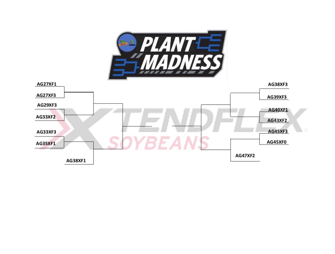 DKAS_SIL's tweet photo. It’s time to see what #Asgrow XtendFlex soybean will take home the 🏆 for #PlantMadness!
The @Asgrow_DEKALB SIL lineup offers a strong set of products ranging from group 2’s to late group 4’s.
This tournament is going to be a close call!
@RRXtend #Plant22 https://t.co/0o2yxz1OEc