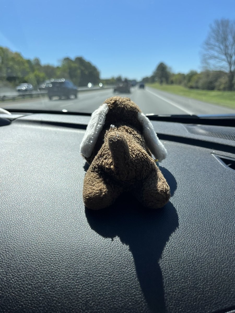 CBorF's tweet photo. On my way to Floorda https://t.co/hCjqi95GuP