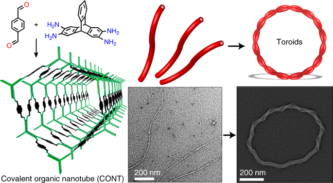 NatureChemistry's tweet photo. Porous covalent organic nanotubes and their assembly into toroidal structures https://t.co/Ye0iP6V8oM ($) https://t.co/ULppGX658h