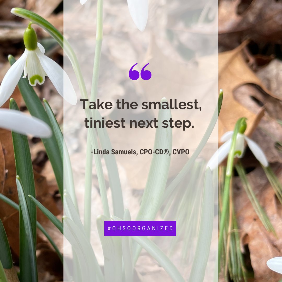 LindaSamuels's tweet photo. Feeling stuck? If so, go small.
https://t.co/BiusEbJ7aW
#getunstuck #gosmall #next #virtualorganizing https://t.co/hCmCuU0c0a