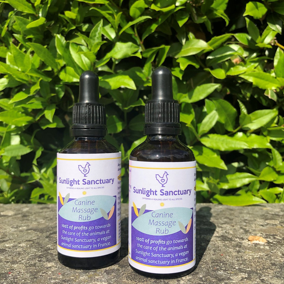 We’re delighted to design the gorgeous canine rub packaging labels for Sunlight vegan animal sanctuary and rescue in France. 

Lucy at Sunlight Sanctuary creates the rub in small batches, by hand. 

#design #vegan #animalsanctuary #veganlife #vegandog