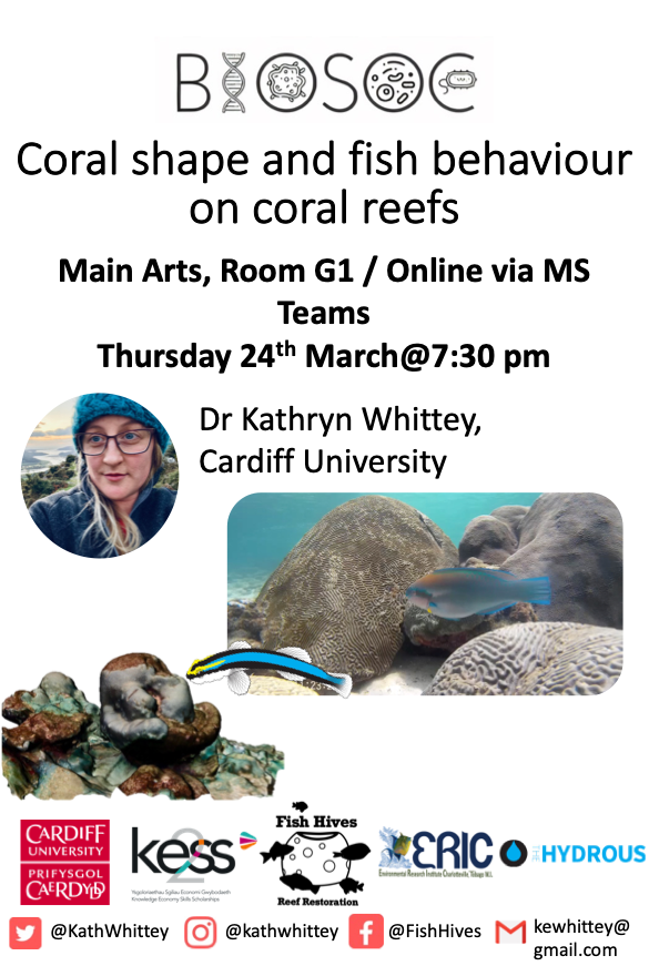 KathWhittey's tweet photo. Passed my #PhD viva a few weeks ago and now giving my first talk as Dr Whittey!! 

I'll be talking 3D modelling, fish behaviour and artificial reefs! Teams event link -> (https://t.co/6PGLATvWyx) 🐠🐠🐠

#womeninoceanscience #marineconservation #womeninSTEM https://t.co/Q4uu61Da4C