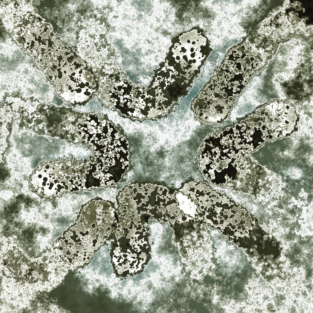 Roman23711807's tweet photo. bacterium https://t.co/HXXDxtBFRP