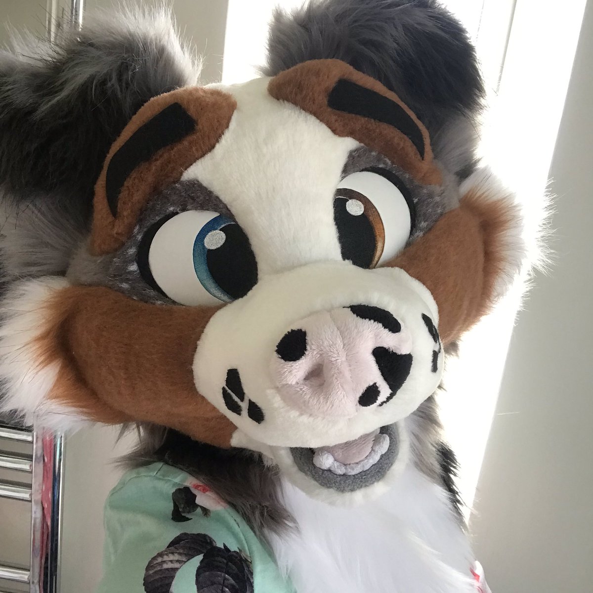 searathewolf's tweet photo. 3 years in the making, but worth the wait. Please welcome Bruni officially to the family! I’ll be putting all his pieces on for the obligatory partial photoshoot after work making the most of the nice weather. https://t.co/qNVZjamWFe