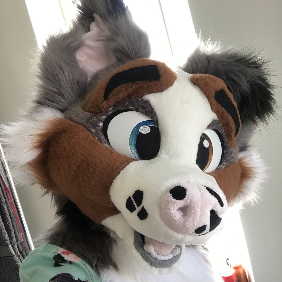 searathewolf's tweet photo. 3 years in the making, but worth the wait. Please welcome Bruni officially to the family! I’ll be putting all his pieces on for the obligatory partial photoshoot after work making the most of the nice weather. https://t.co/qNVZjamWFe