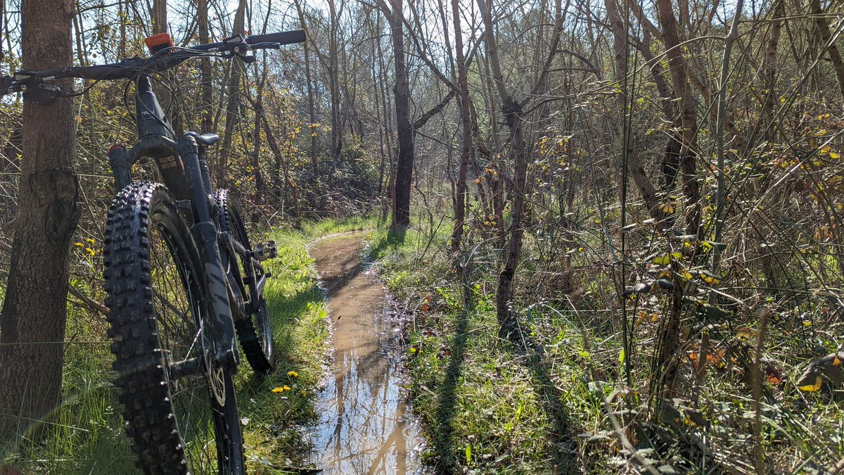 GDelabaere's tweet photo. Quand t'es covidé fais du VTT https://t.co/kK8n17jGPt