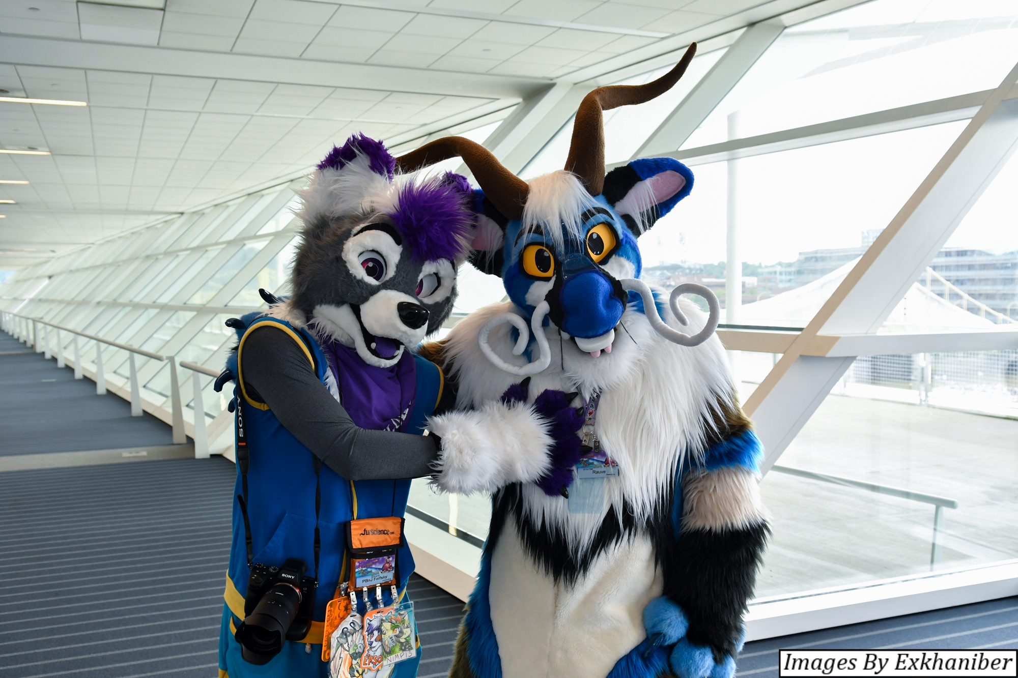 Anthrocon, Inc. on Twitter "We're under 100 days until Anthrocon