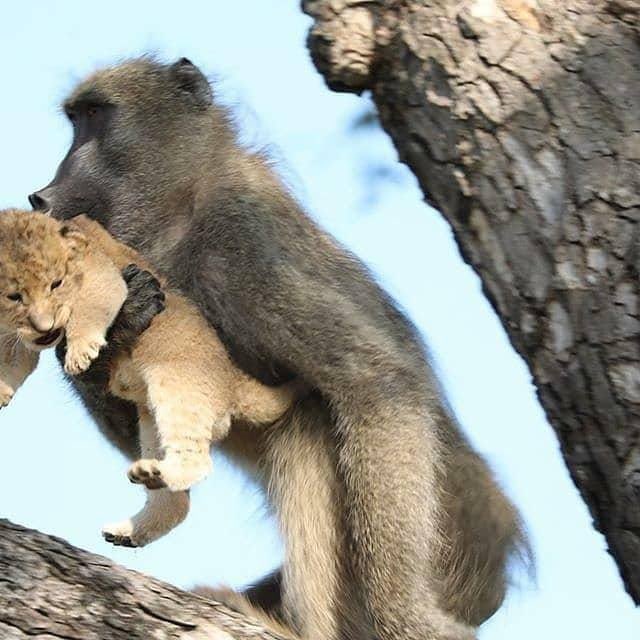 Global_Folder's tweet photo. A short story somewhere in Africa. https://t.co/iI67LWspLM