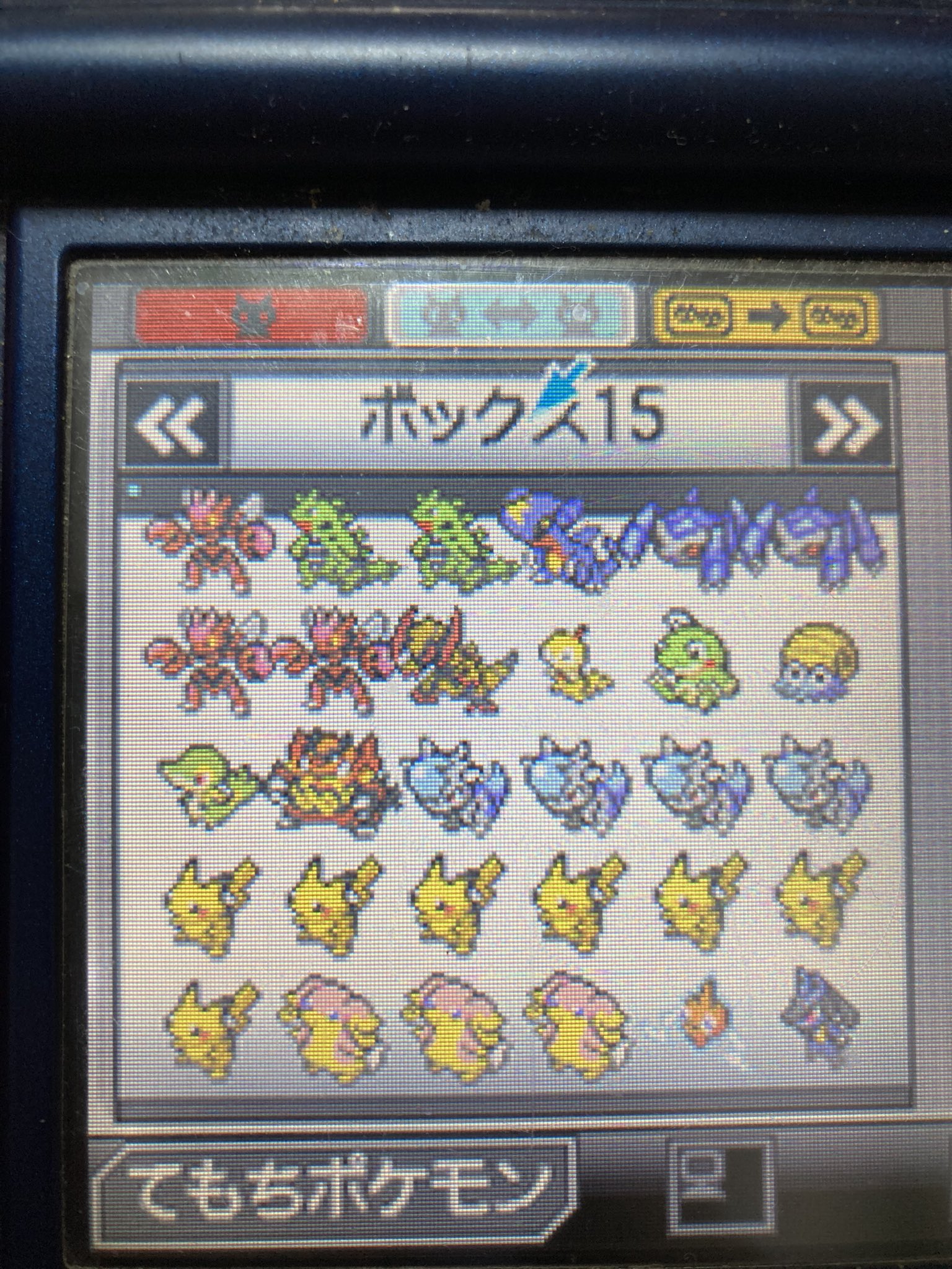 にっしん 結果はこんな感じ 色違い ゲノセクト サザンドラ レックウザ コイキング ドラゴンポケモンの卵3 4つ リバティチケット1枚 中古のソフトは前のセーブデータで受け取った送り物は受け取れないっぽい 受け取れてないポケモンはゼクロム