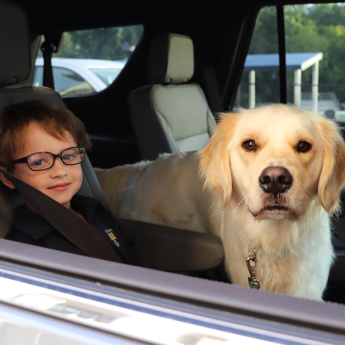 stdavidsschool's tweet image. St. David’s has the cutest dogs! 🐶 Happy #nationalpuppyday from some of our special furry friends. Who remembers the Puppy Parade from the beginning of the school year? We love our chauFURs. #sdsw