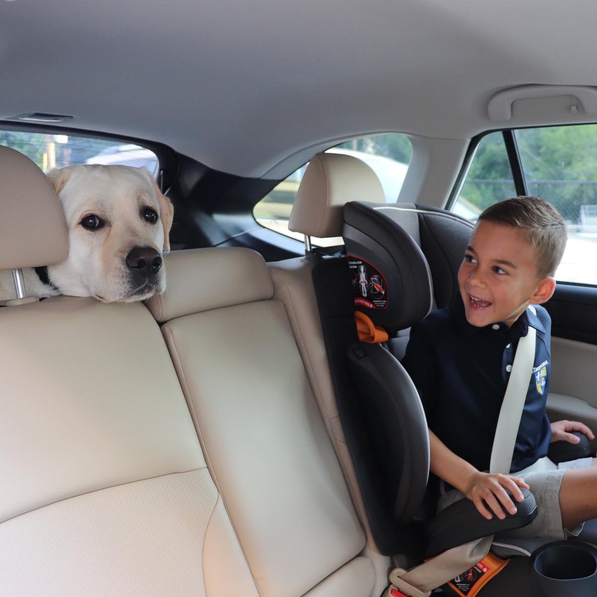 stdavidsschool's tweet image. St. David’s has the cutest dogs! 🐶 Happy #nationalpuppyday from some of our special furry friends. Who remembers the Puppy Parade from the beginning of the school year? We love our chauFURs. #sdsw