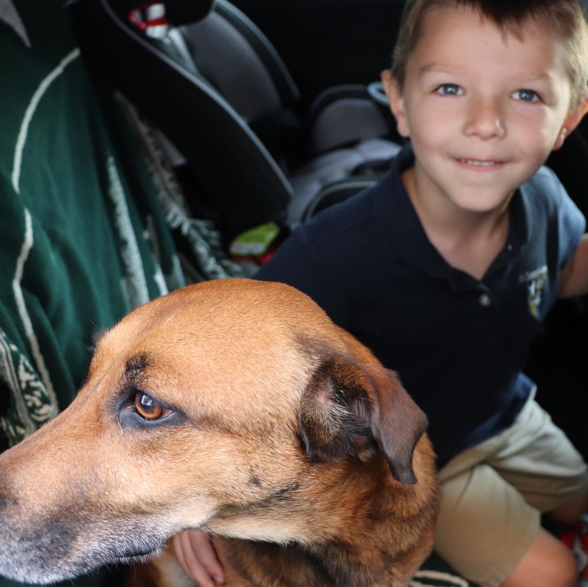 St. David’s has the cutest dogs! 🐶 Happy #nationalpuppyday from some of our special furry friends. Who remembers the Puppy Parade from the beginning of the school year? We love our chauFURs. #sdsw