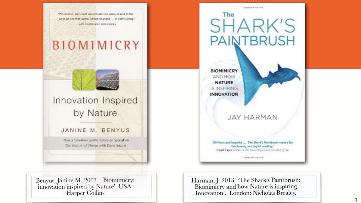 Great to discuss <a href="/JanineBenyus/">Biomimicry 3.8</a>’ #Biomimicry and #JayHarman’s #TheSharksPaintbrush in our reading group this morning #StSwithunsAcademicEnrichment 
youtu.be/k_GFq12w5WU