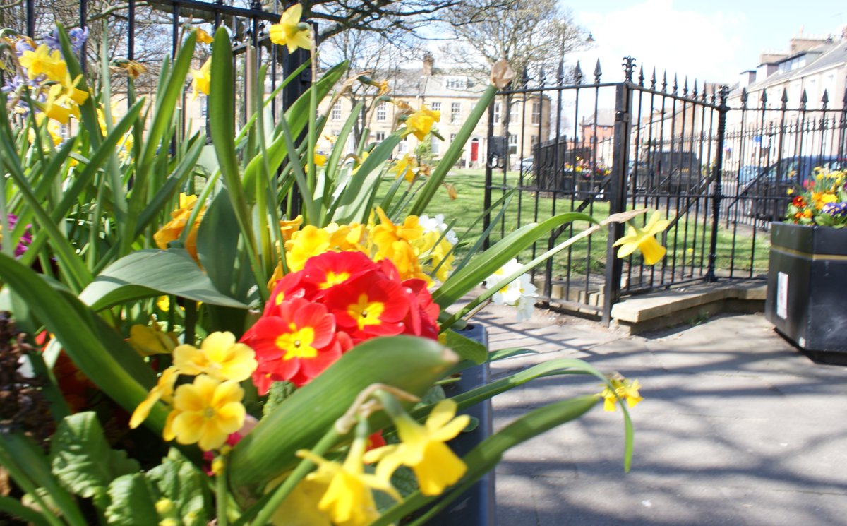 Community Development at Battle Hill and Linskill tweet media