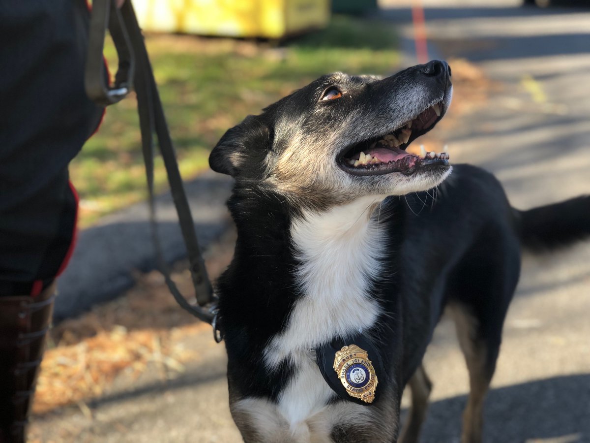 AmericanHumane's tweet image. Did you know the new @netflix film, #RescuedByRuby, is based on our own 2018 Search and Rescue Hero Dog?! Pictured is the real-life Ruby.
Become a #HeroDog and share your story with the world! Visit HeroDogAwards.org/Nominate now - nominations close at 12pm PT/3pm ET. #HeroDogAwards