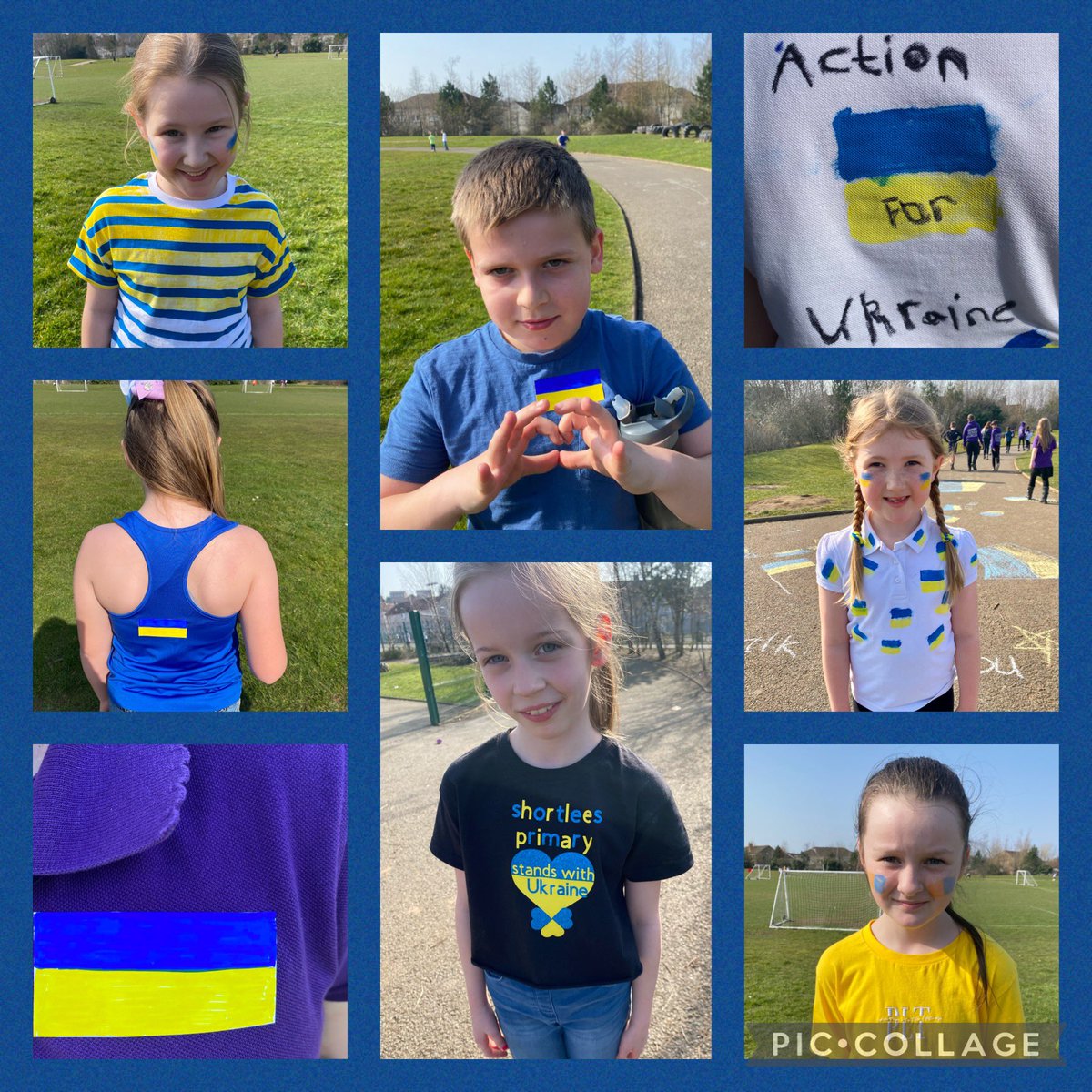 Shortlees Primary tweet media