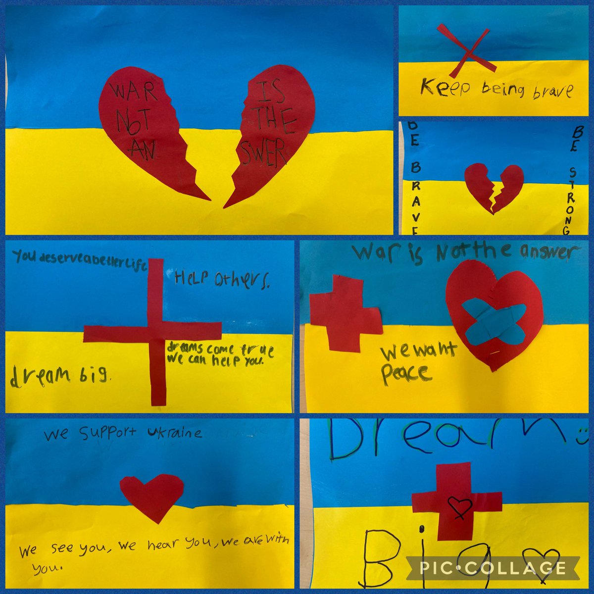 Shortlees Primary tweet media