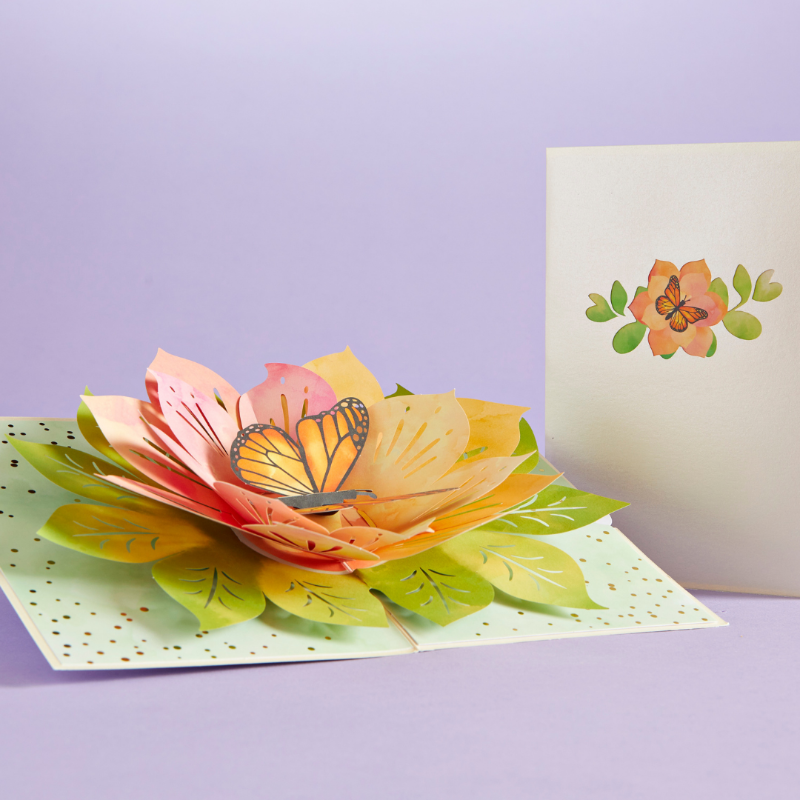 lovepop's tweet photo. Say hello to new beginnings! 🦋 🌼 #LovepopCards #MonarchButterfly #ButterflyBloom #SpringIsHere #SpringHasSprung #JustBecause