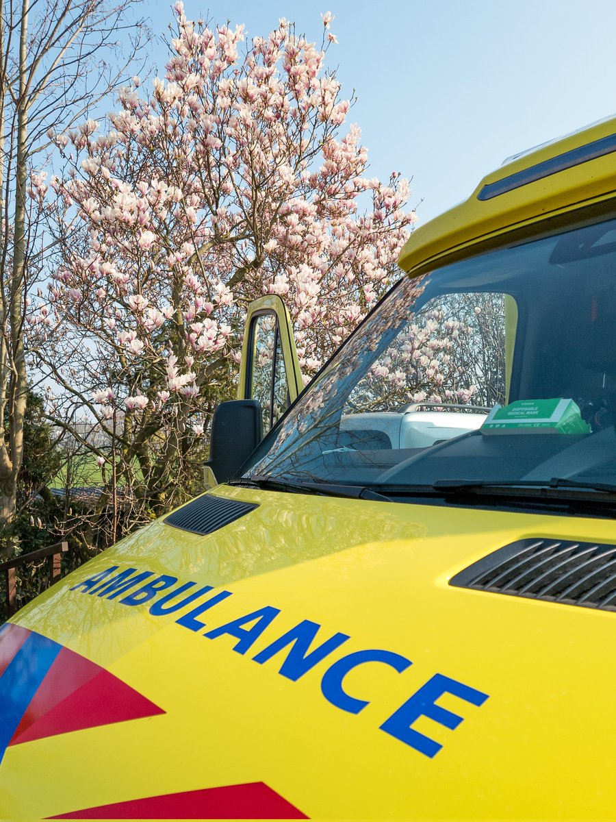 Eric IJdo tweet media