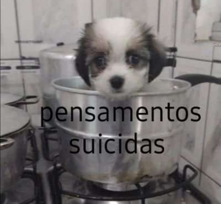 moved olha o fix! (@barbiefacist) on Twitter photo 