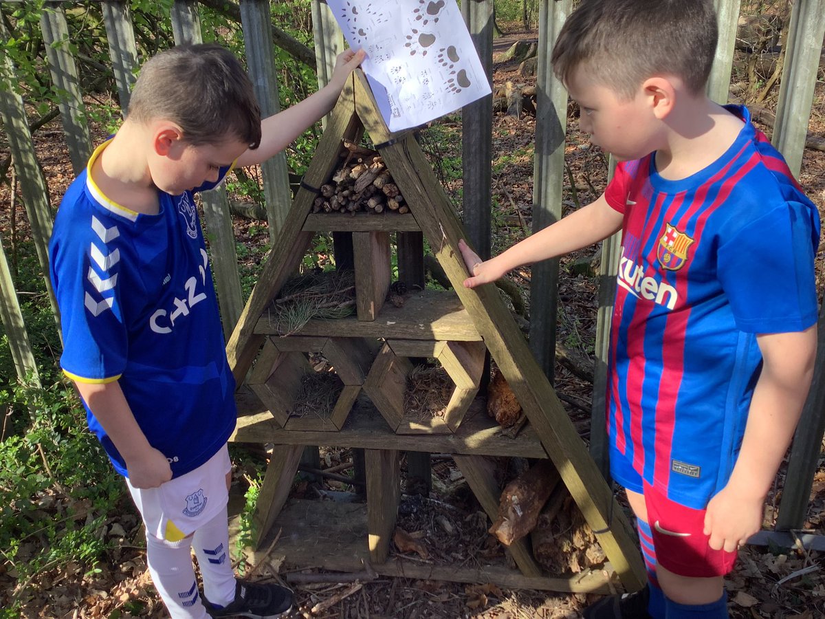 StPhilipsY5A's tweet photo. What an adventure we had! Who knew there was so much wildlife in our local area. The children explored the field and our woodland and found evidence of so many animals. Mole holes, animal racks and rabbit holes created most excitement.
#teamstphilips #StPhilipsScienceY3 https://t.co/aqWQiZHJk7