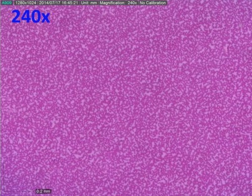 DinoLiteUS's tweet photo. 🔬 Prepared Microscope Slide of Blood Cells.
📸 The first image was taken with a standard model, the second image was taken with AM4515T8
#digital #microscope #digitalmicroscope #dinolite #edtech #science #blood #cells #microscopeslide https://t.co/lOcfyLKRRa