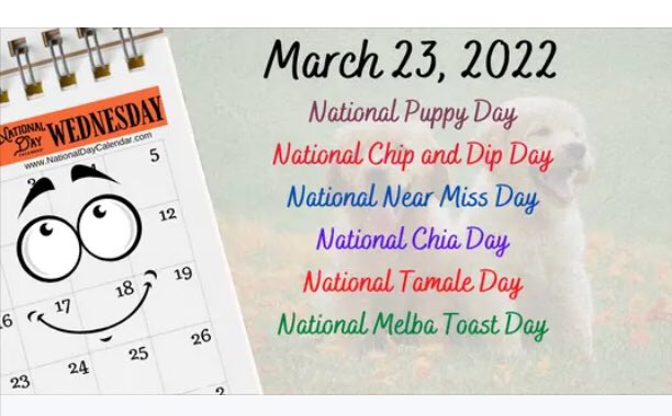 nothng2sumthng's tweet photo. #celebratetoday #NatDayCal https://t.co/83iXzAxNQn