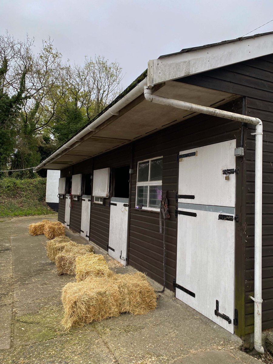 FrankInnsEquine's tweet photo. Stocked up and ready for a very big dinner!

Head to our website site to learn more about our full hay range - https://t.co/vqaKTGGRH8

#horseracing #horse #horses #thoroughbred #horsesofinstagram #racehorse #jockey #racing #horseriding #horseracingtips #equestrian #equine https://t.co/kudZkt3KQS