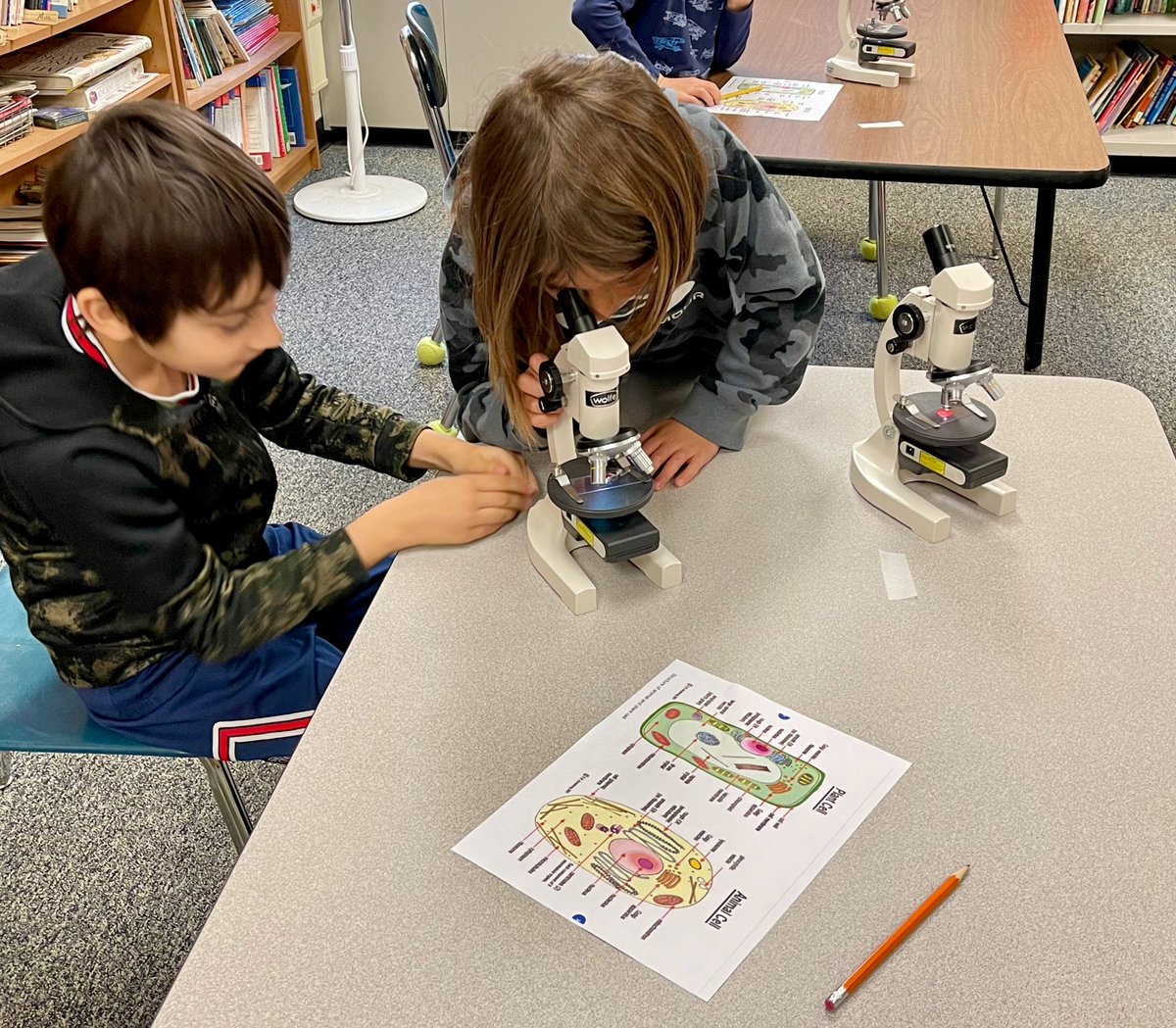 Coopertown_ES's tweet photo. It's all about the science in Mrs. Kennedy's class. #coopertownproud #coopscience #mrskclass https://t.co/Fgj6rrlwWT