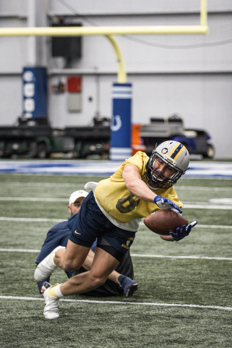 Marian Knights tweet media