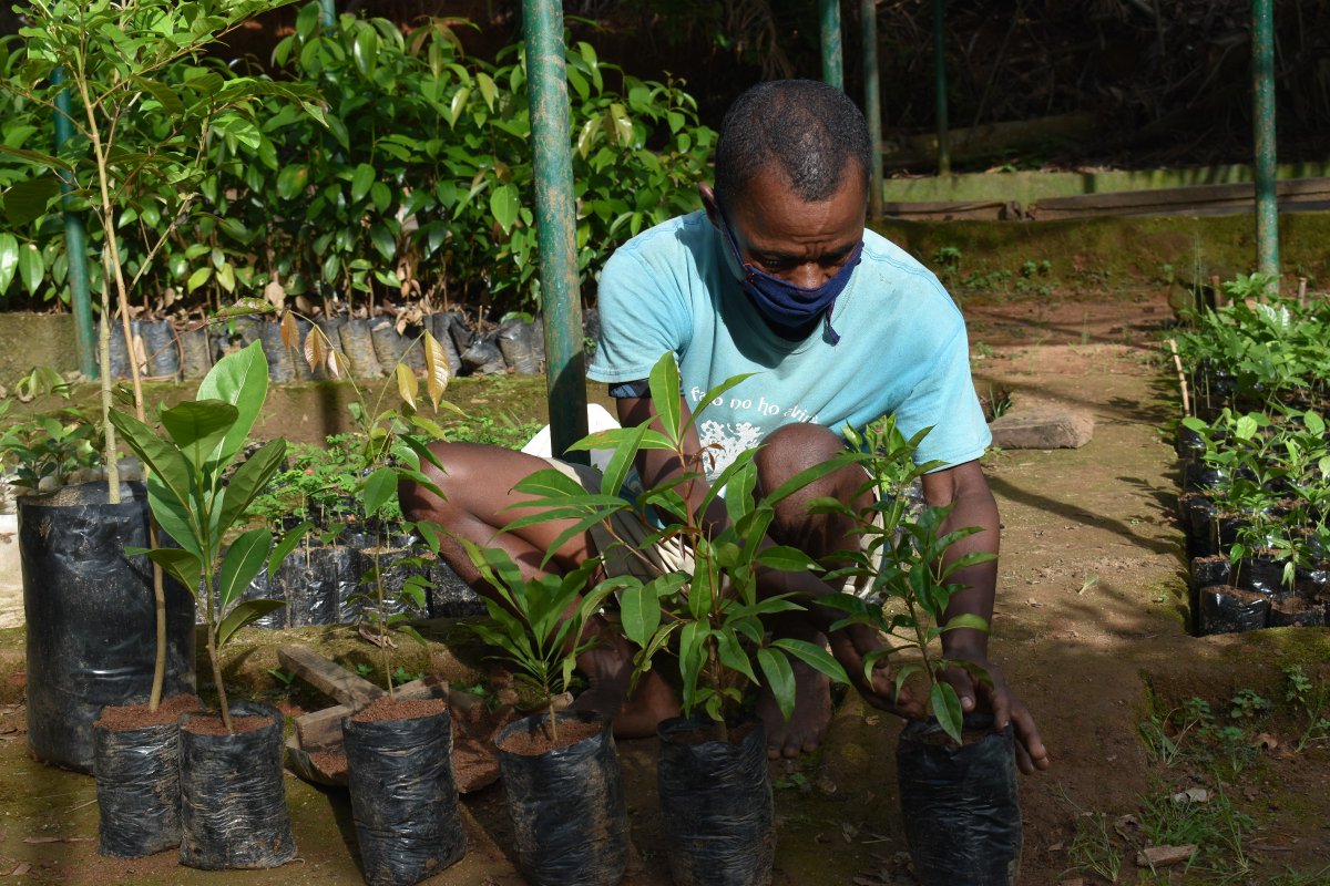 MBPartnership's tweet photo. For International Day of #Forests we celebrate nursery managers Andre and Victor. For almost TWELVE years they've been to devoted to MBP's reforestation projects. They spent part of their day dedicated to the growth of native species in their nurseries.

TY @arborday #planttrees https://t.co/q1pGLX3Al7