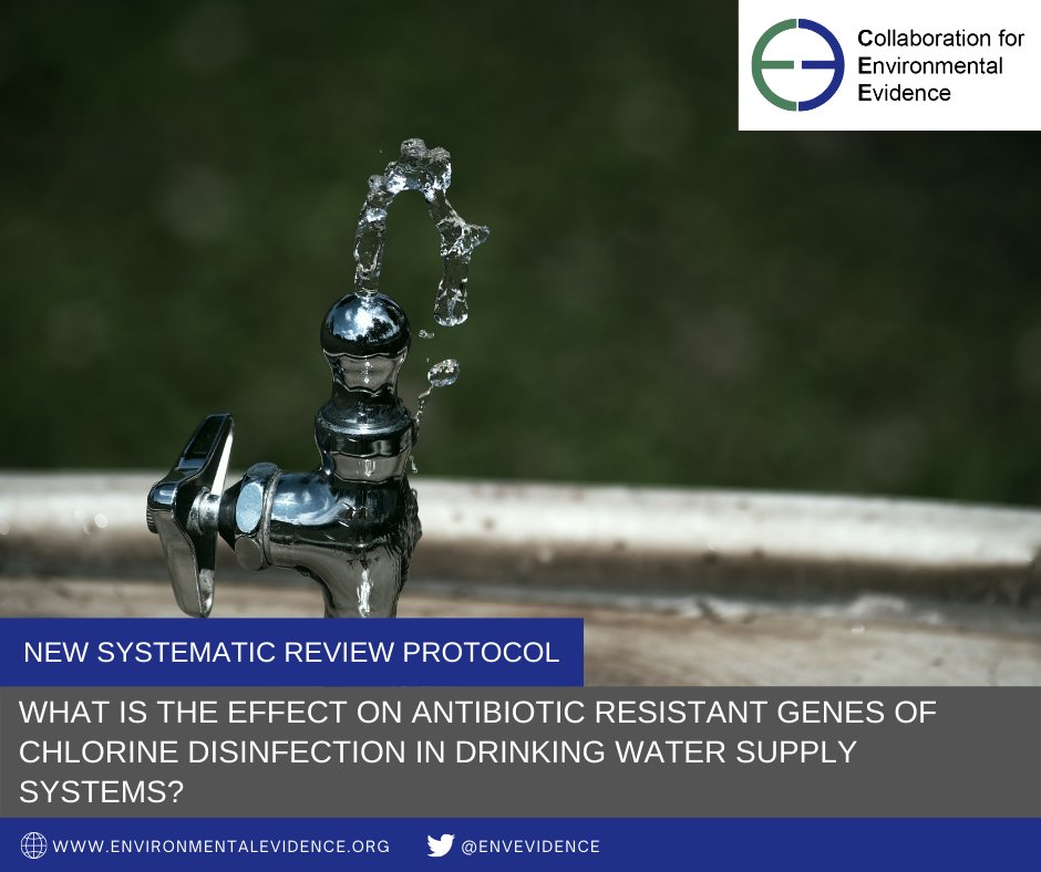 EnvEvidence's tweet photo. New CEE #SystematicReview protocol proposes to investigate the effect of chlorine disinfection (the most widely used disinfection in water supply systems) on #AntibioticResistant genes of drinking water supply systems. https://t.co/qUjw2QPrkK #EvidenceSynthesis #EnvEvidence https://t.co/5Z545P183z