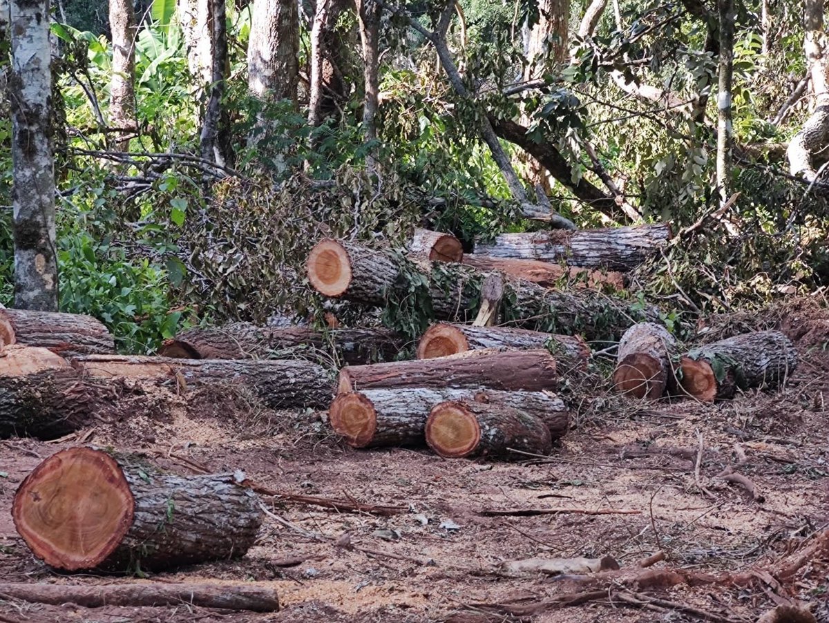 Misiones: Policías de San Ignacio involucradas en amenazas de incendiar a la comunidad Mbya Guaraní Mbokajaty

originarios.ar/nota/542/ 

#Misiones #SanIgnacio #PuebloMbyaGuarani #ComunidadMbokajaty #Avasallamiento #Amenazas #TalaDeBosque #Discriminacion #Violencia #originariosAR