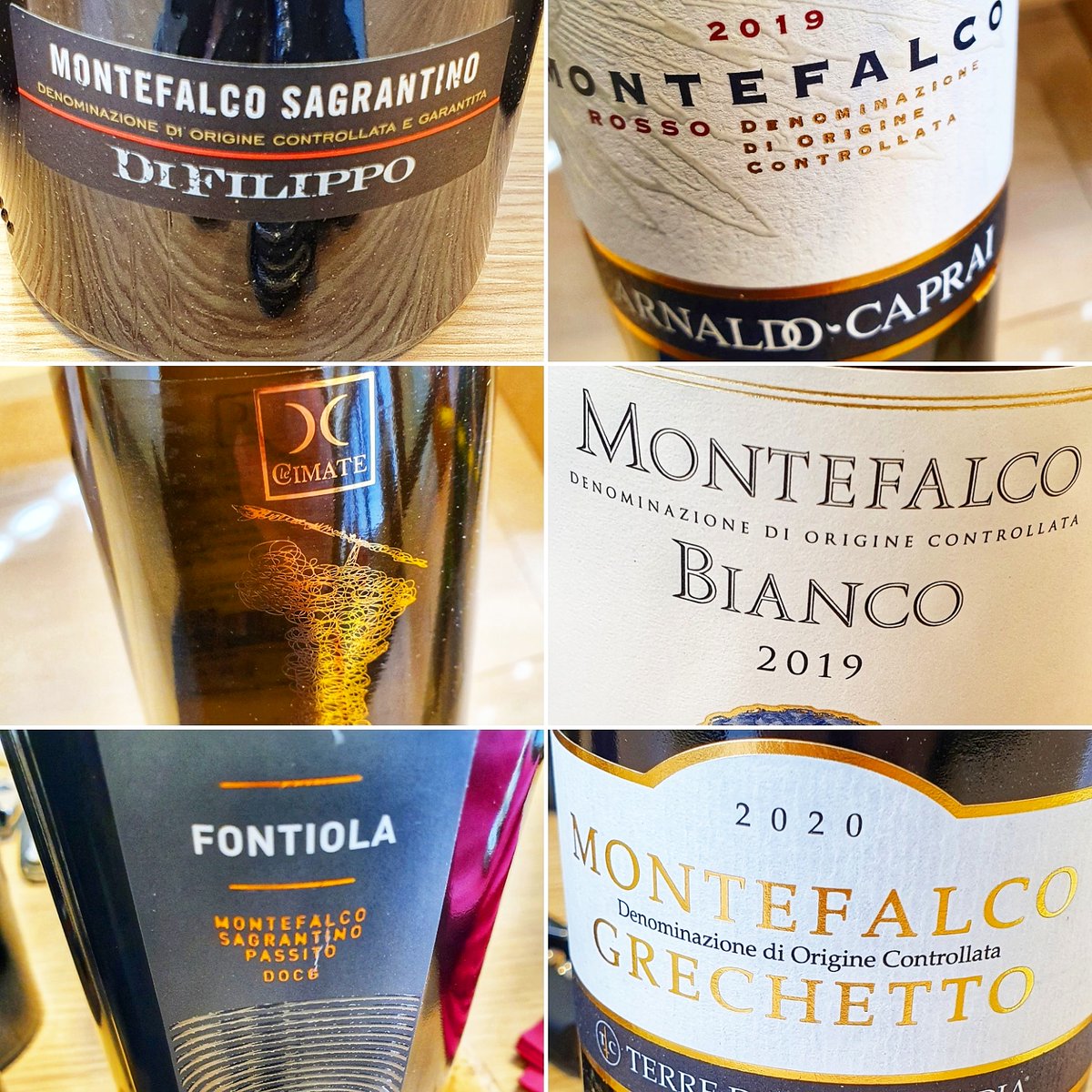 English language wine training for the Consorzio Montefalco and Regione Umbria.