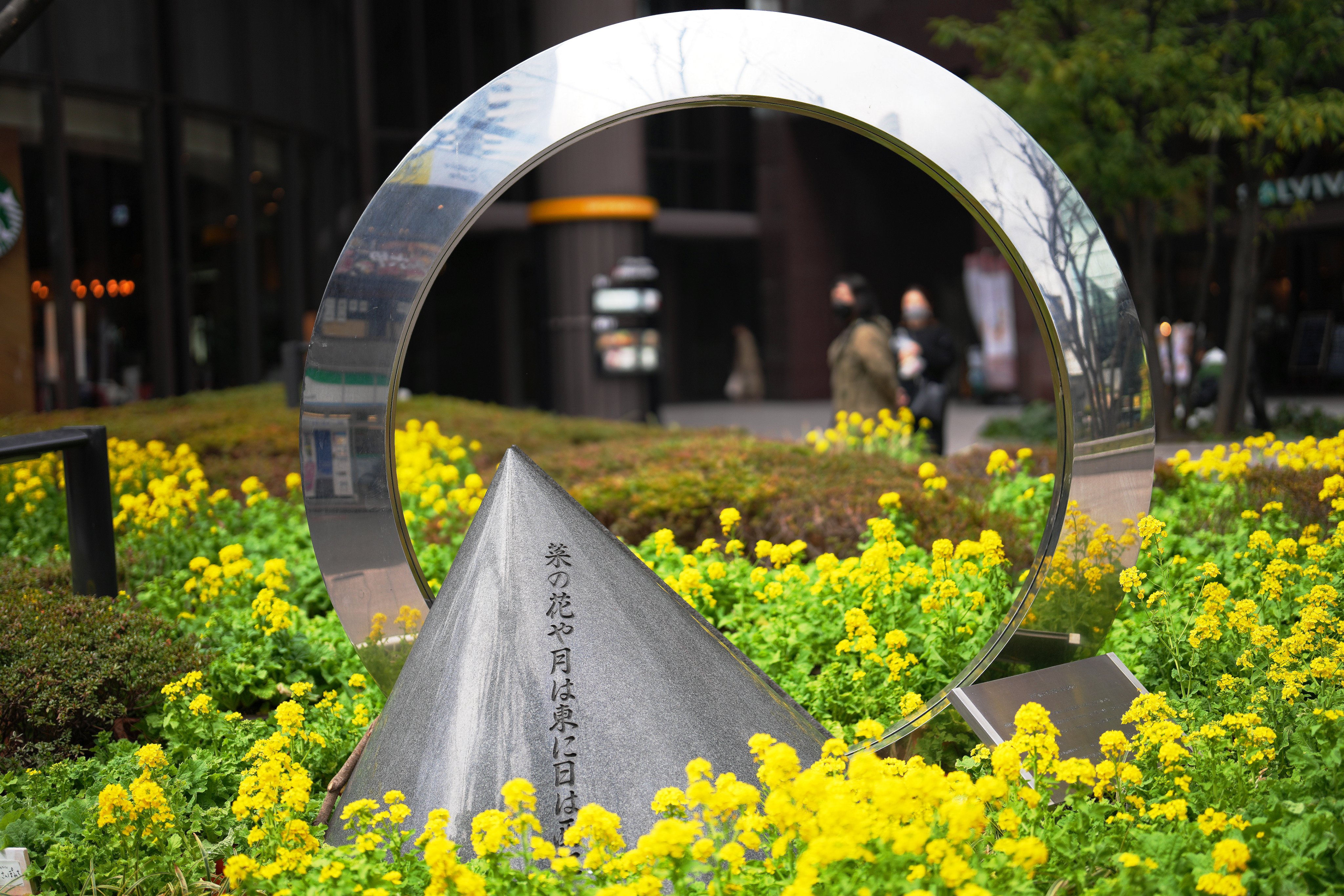 菜の花や月は東に日は西に Twitter Search Twitter